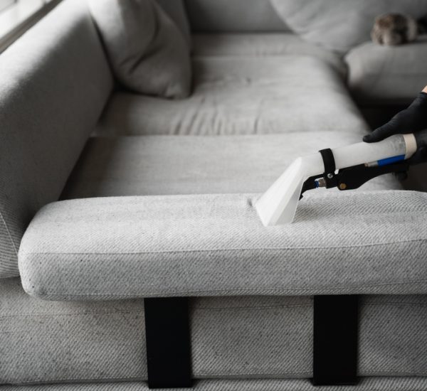 Dry-cleaning,The,Upholstery,Furniture,Fibers,With,Extractor.,Extractor,Cleaning,Removes Dry-cleaning,The,Upholstery,Furniture,Fibers,With,Extractor.,Extractor,Cleaning,Removes